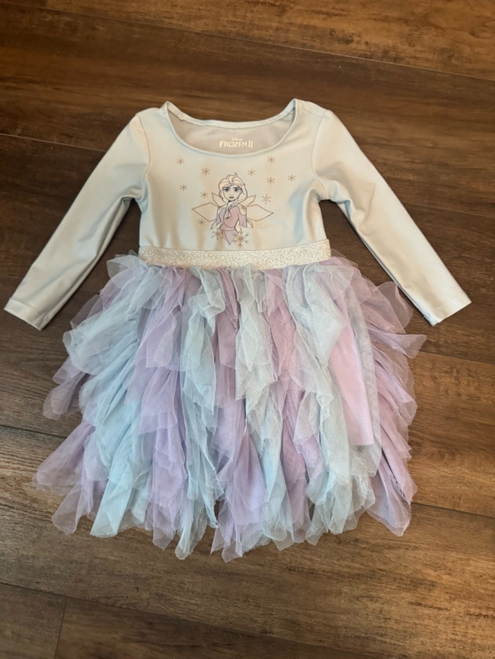 Frozen 2 Elsa leotard and tulle dress size 3t